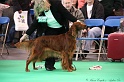 Crufts2011 633